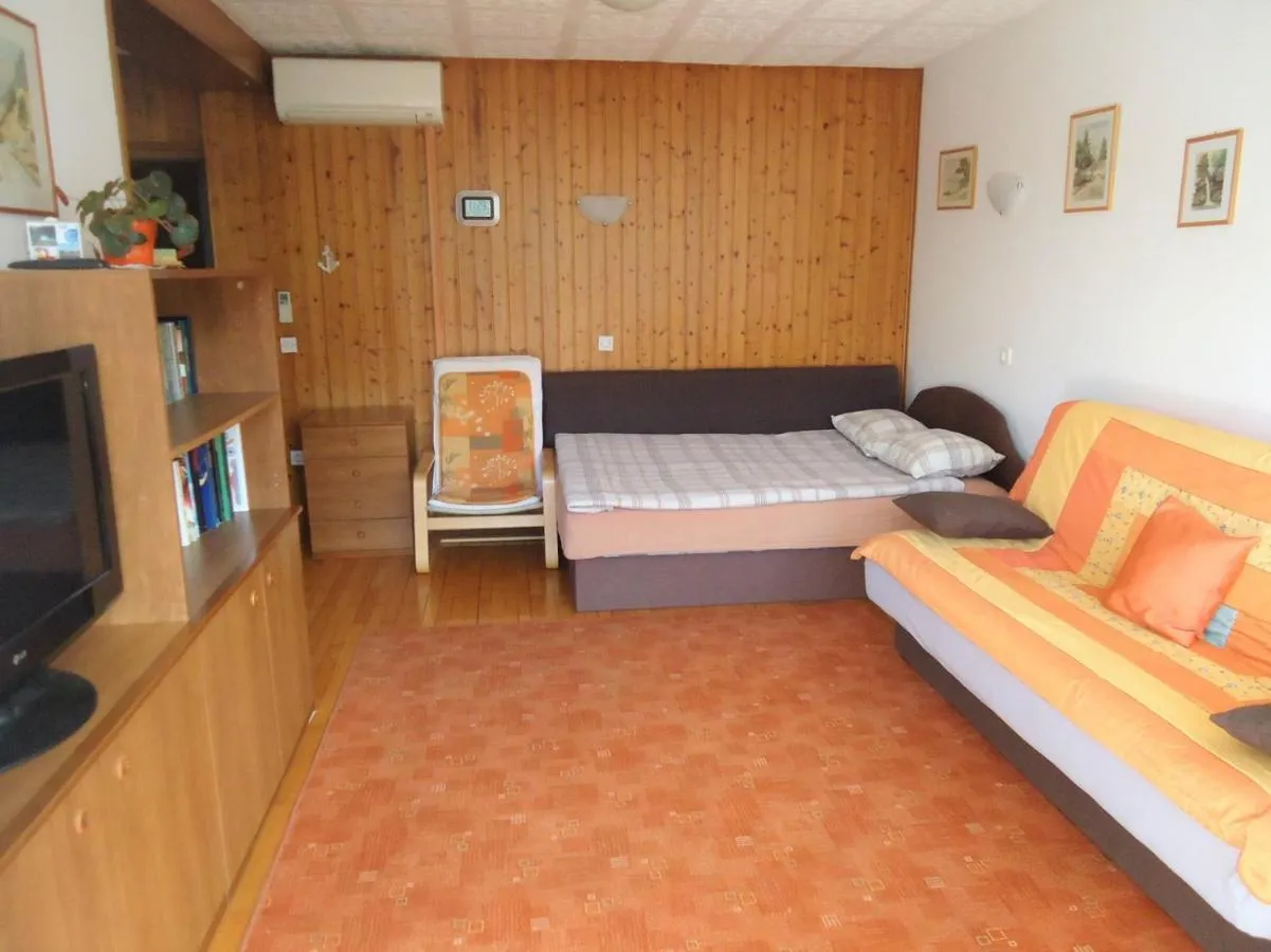 Za vrati apartmaja Maty: dnevna soba z lesenimi stenami