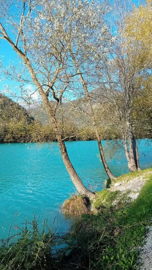 Turkizna Tolminka med drevesi